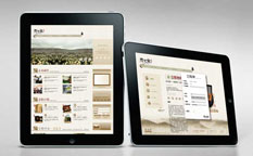 慶元堂徽菊茶葉網站設計-上海網站策劃設計公司