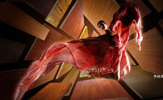 菲林格爾地板形象廣告創意設計