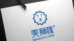 美獅隆門窗建材品牌標(biāo)志設(shè)計VI設(shè)計