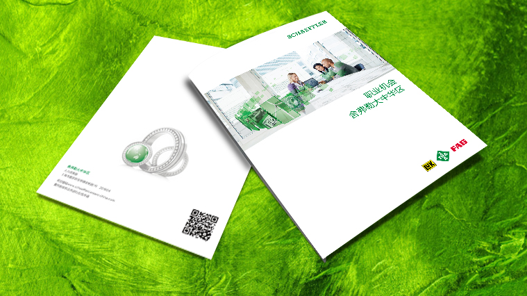 舍弗勒集團(tuán)2015校園招聘宣傳冊(cè)設(shè)計(jì)