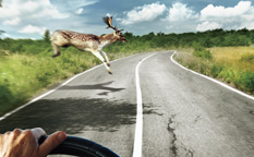 百適通剎車油潤滑油海報廣告創意設計-上海廣告創意設計公司