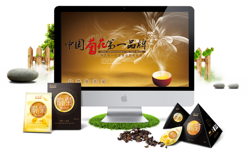 慶元堂菊花茶品牌策劃與包裝設計