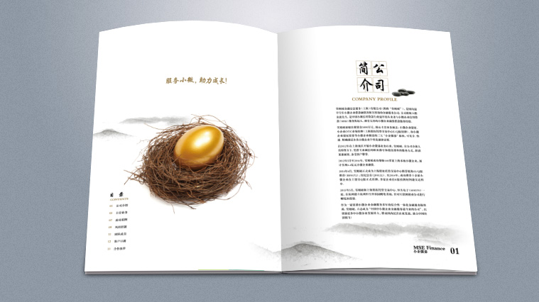 實則硬小微企業金融服務企業宣傳畫冊設計-上海宣傳冊設計公司