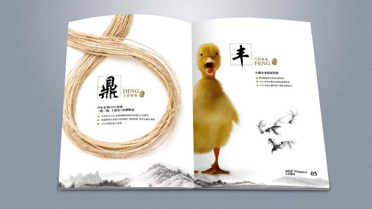實則硬小微企業金融服務企業宣傳畫冊設計-上海宣傳冊設計公司