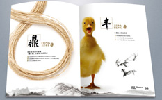 實則硬小微企業金融服務企業宣傳畫冊設計-上海宣傳冊設計公司