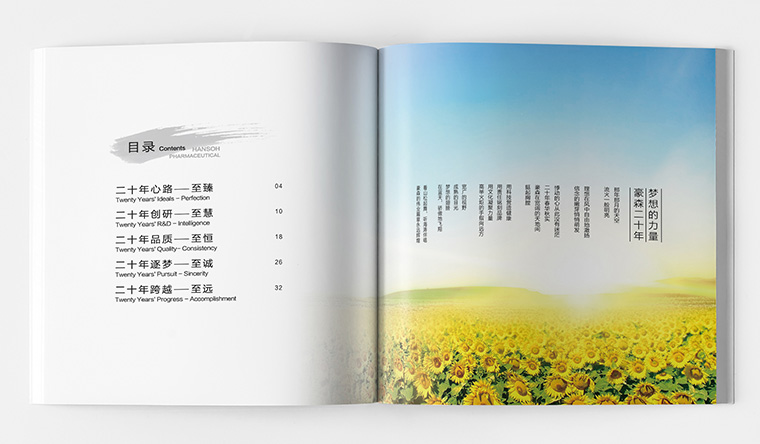豪森醫(yī)藥20周年慶企業(yè)紀念宣傳畫冊設計-上海畫冊設計公司