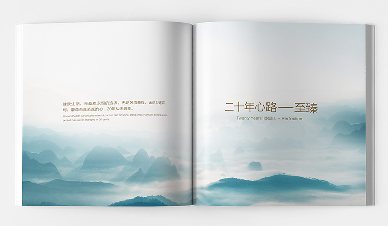 豪森醫(yī)藥20周年慶企業(yè)紀念宣傳畫冊設計-上海畫冊設計公司
