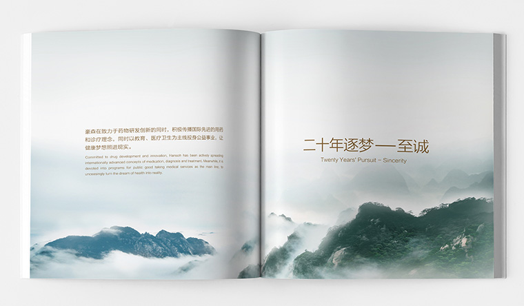 豪森醫(yī)藥20周年慶企業(yè)紀念宣傳畫冊設計-上海畫冊設計公司