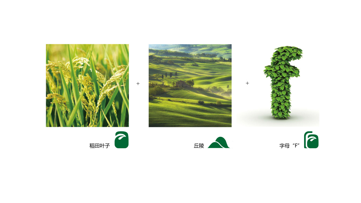 山東富蕾詩農產品農業品牌logo設計VI設計