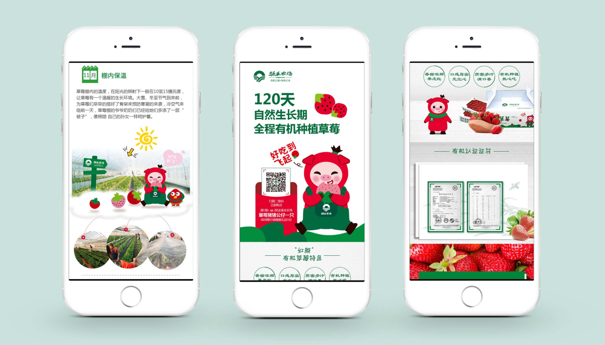 涌禾農場有機草莓微信落地頁面設計