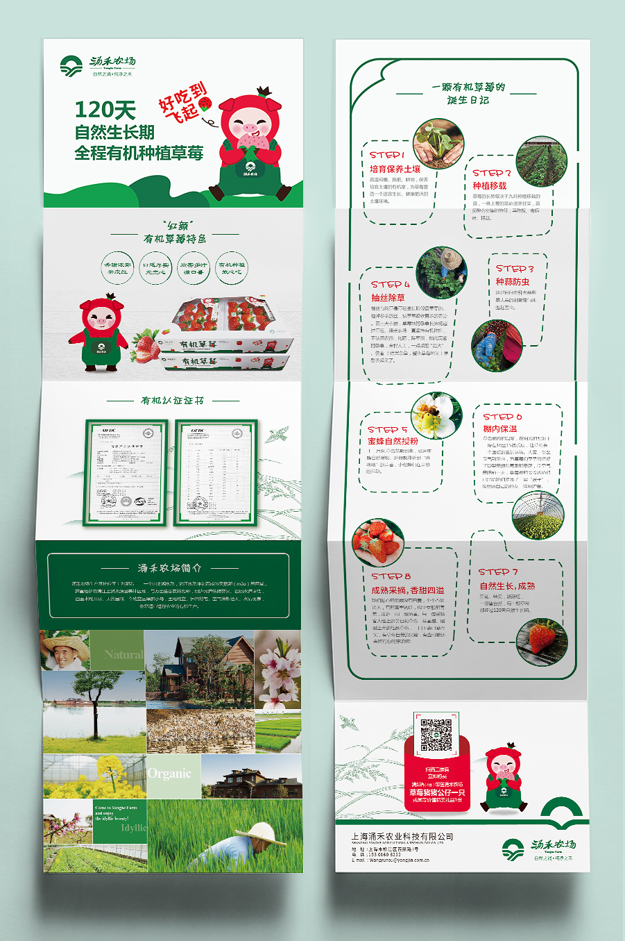 涌禾農場有機草莓宣傳折頁設計