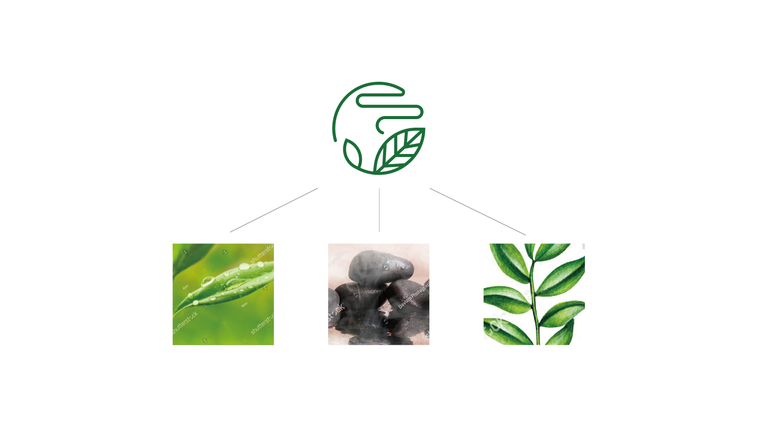 北京熏和堂中草藥熏蒸液熏香品牌命名logo設計vi設計包裝設計