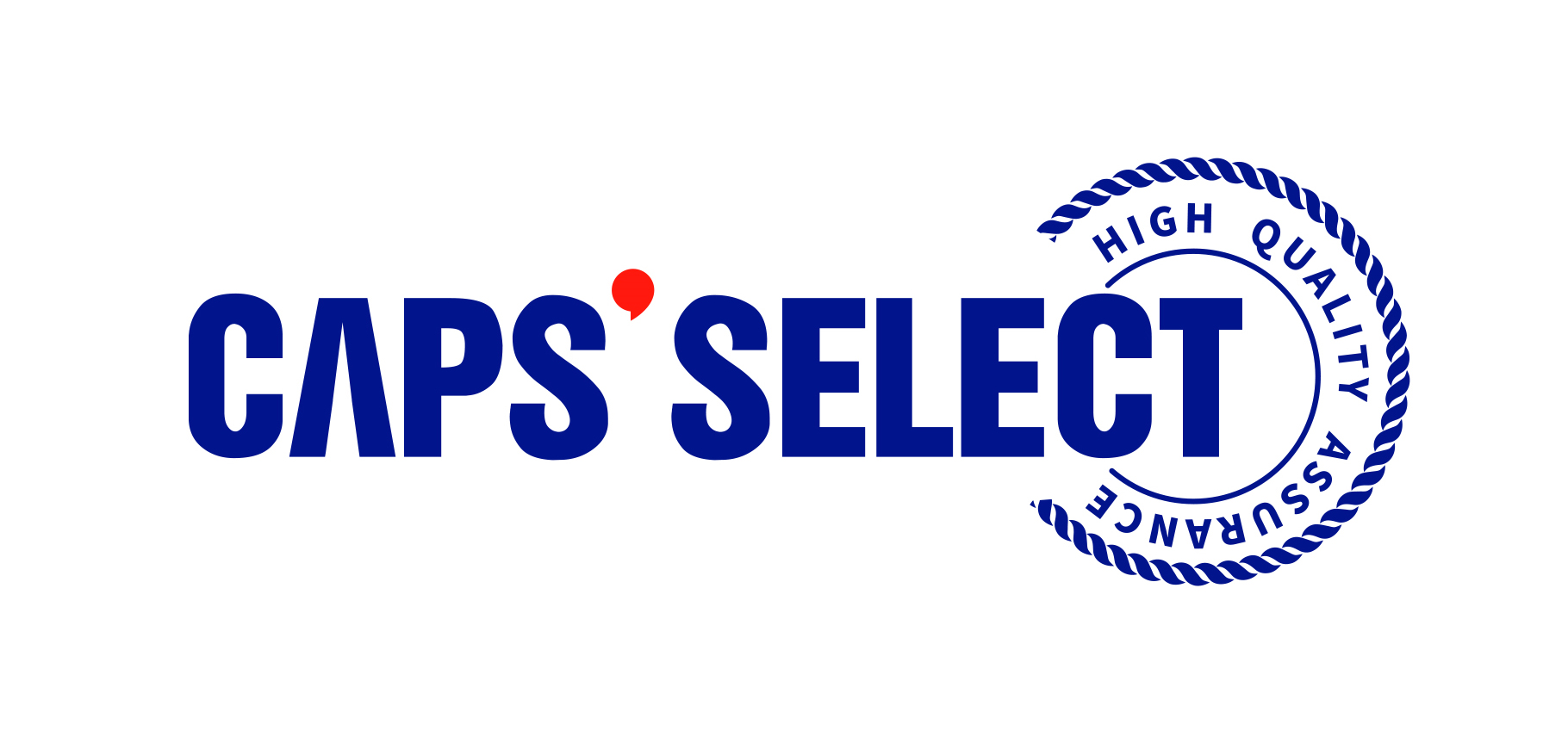 CAPS卡佩斯優(yōu)選汽車減震器阿里巴巴國際站電商店鋪網(wǎng)站設(shè)計