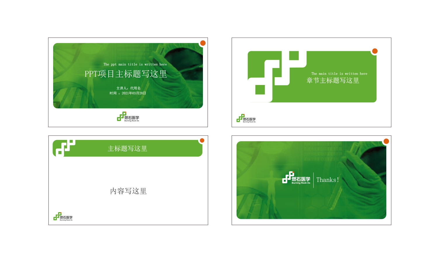 燃石醫學醫療品牌形象vi設計