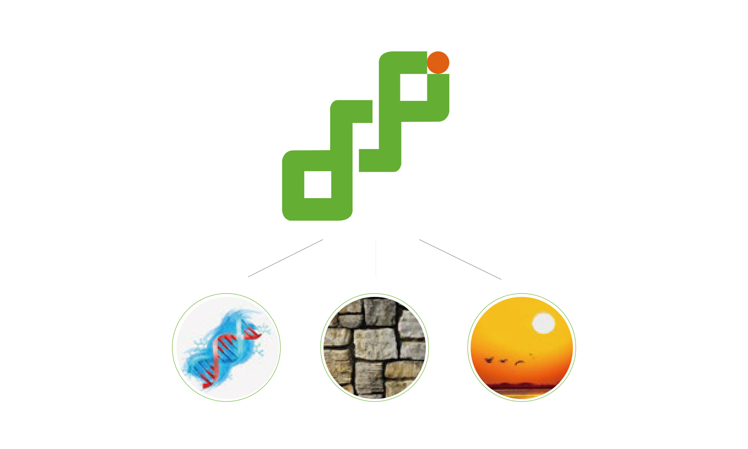 燃石醫學醫療品牌形象vi設計